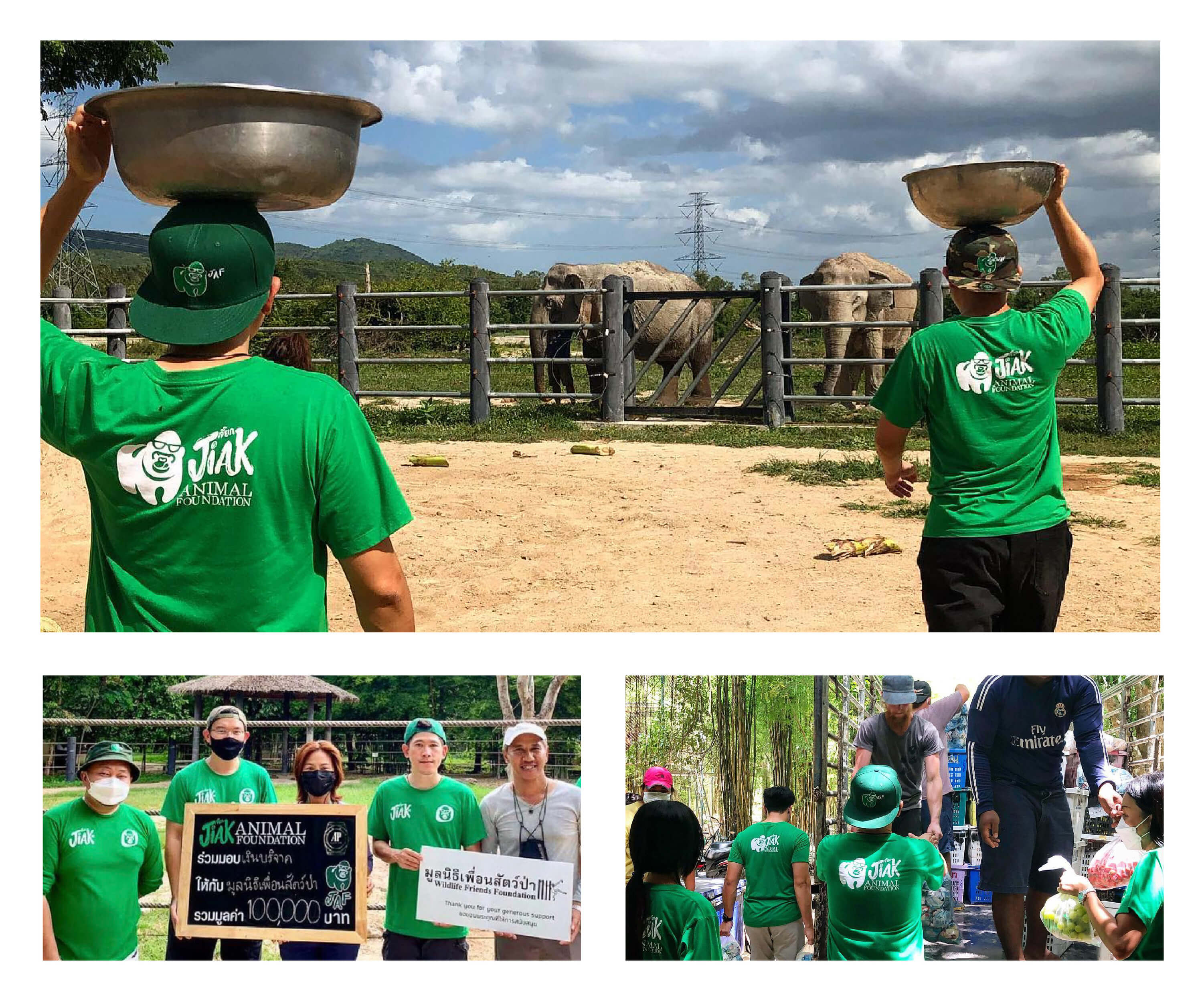 มูลนิธิเพื่อนสัตว์ป่า จังหวัดเพชรบุรี