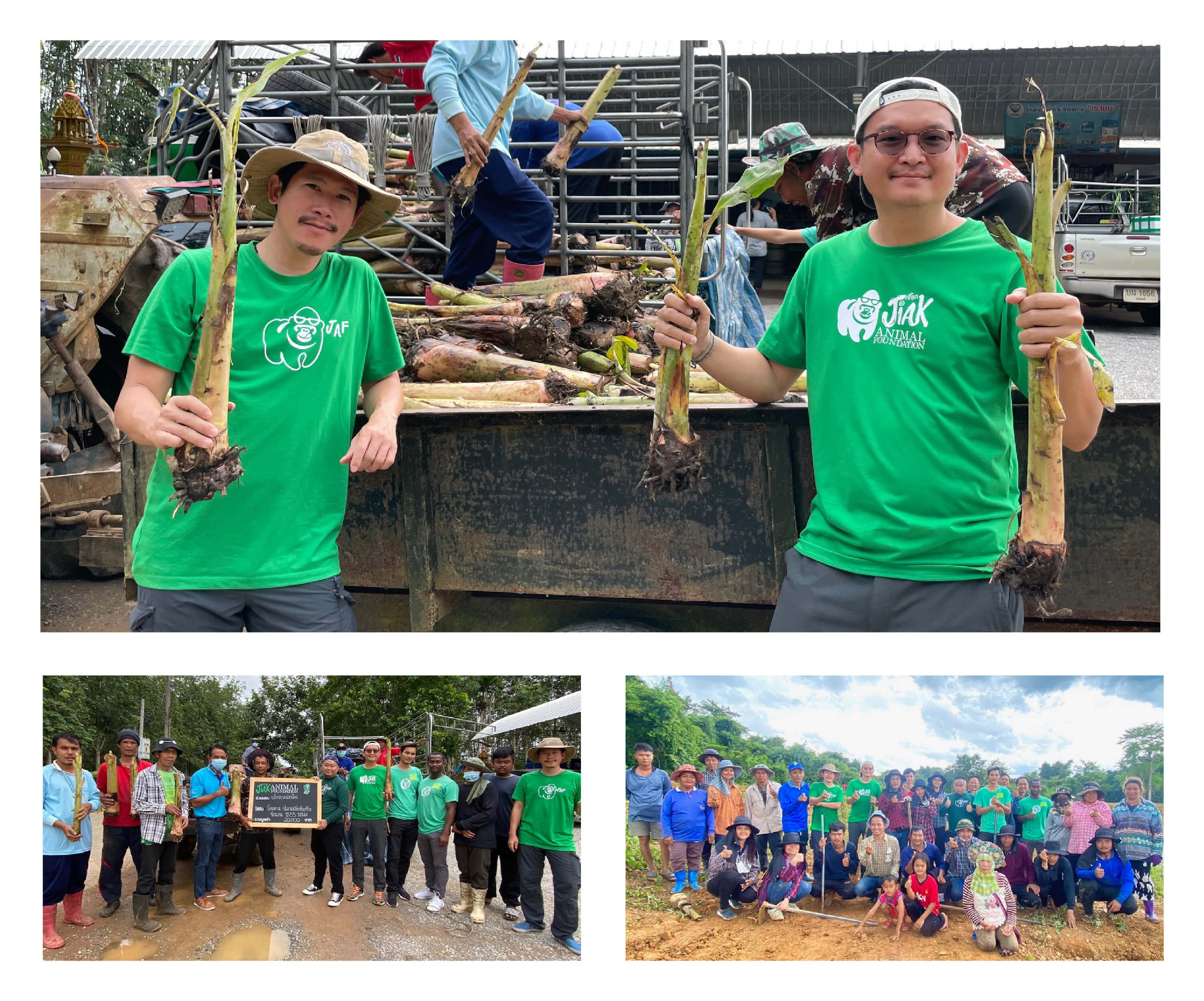ปลูกกลัวยช่วยช้าง ที่ชุมชนต้นน้ำคลองครก จังหวัดจันทบุรี